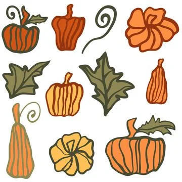 Set of different pumpkins freehand drawing vector illustration. Stockillustratie
