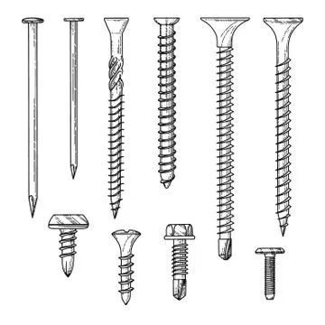 Set of different screws, nails isolated on a white background. Vector Stock Illustration
