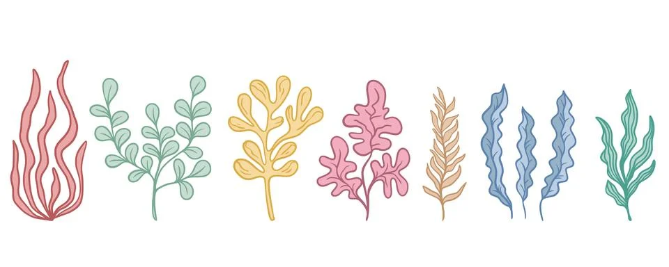 Set of different seaweeds vector graphics Illustrazione stock