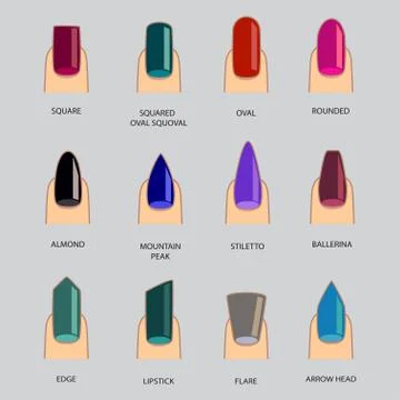 Set of different shapes of nails on gray. Nail shape icons. Manicure polish. Stock Illustration