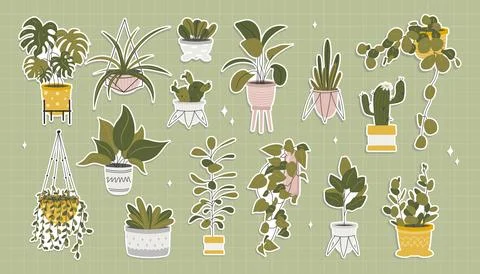 Set of different stickers of indoor plants. Stock Illustration