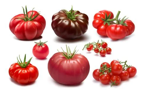 Set of different tomato varieties Stock Photos