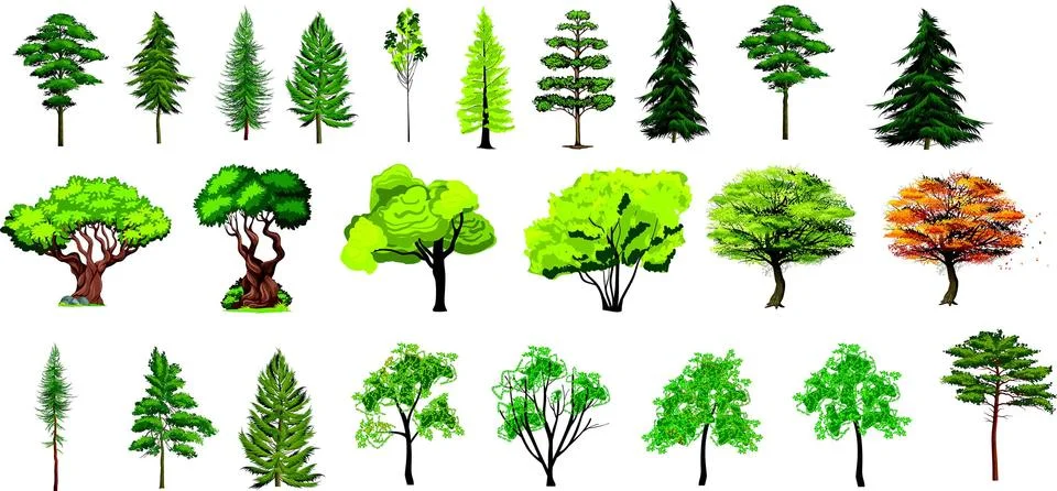 Set of different tree realistic design - editable vector illustration-eps Stock Illustration