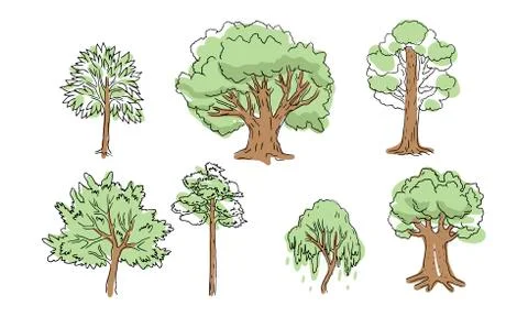 Set of different trees. Sketch style, contours and spots. Vector illustration Stock Illustration