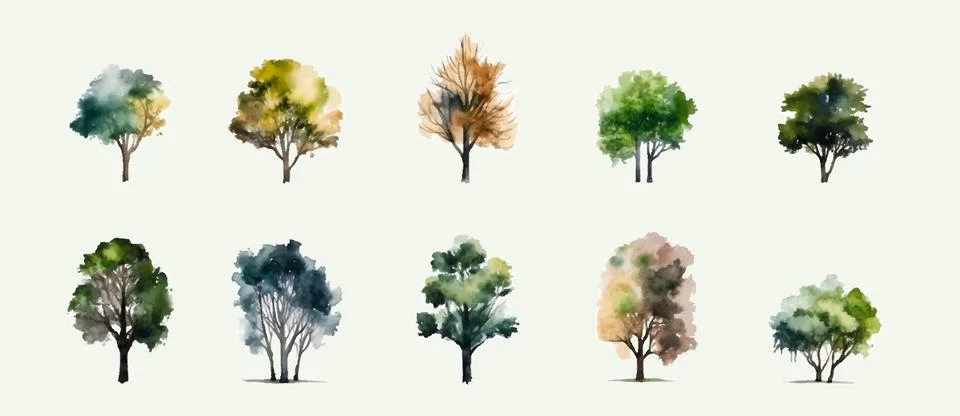 Set of different trees watercolour, isolated on white background. Vector il.. Stock Illustration