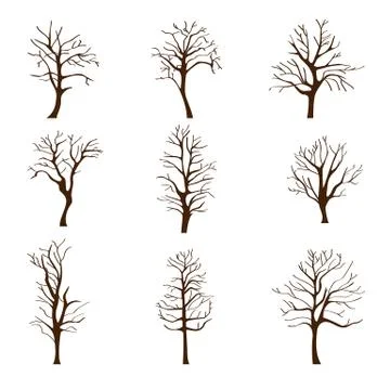 Set of different trees without leaves in autumn or winter Stock-Illustration