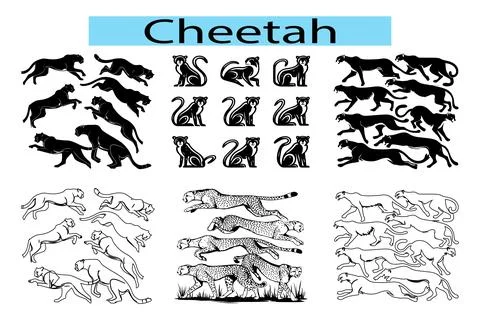 Set of different type of black Cheetah vector illustration Stock Illustration