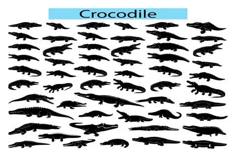 Set of different type of black Crocodile vector illustration in white Stock Illustration