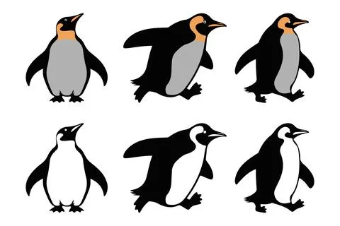 Set of different type of black Emperor penguin vector illustration Stock-Illustration