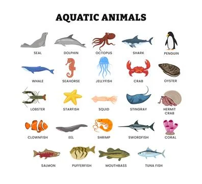 Set of different types of aquatic animal collection for education poster, v.. Illustrazione stock