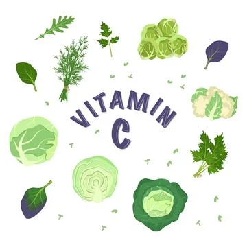 A set of different types of cabbage and herbs for the diet. Source of vitamin C Stock Illustration