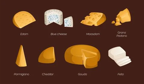 Set of different types of cheeses. Vector illustration with text. Ideal for.. Stock Illustration
