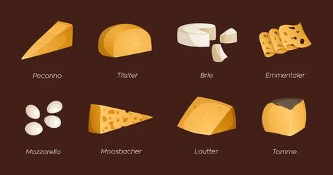 Set of different types of cheeses. Vector illustration with text. Ideal for.. Stock Illustration