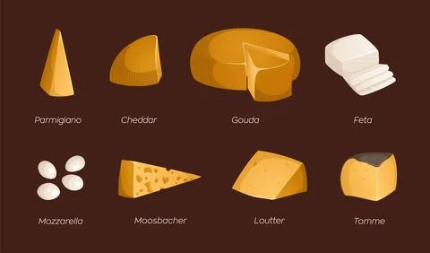 Set of different types of cheeses. Vector illustration with text. Ideal for.. Stock Illustration