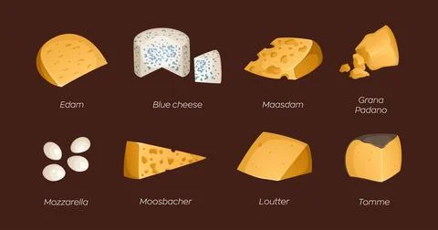Set of different types of cheeses. Vector illustration with text. Ideal for.. Stock Illustration