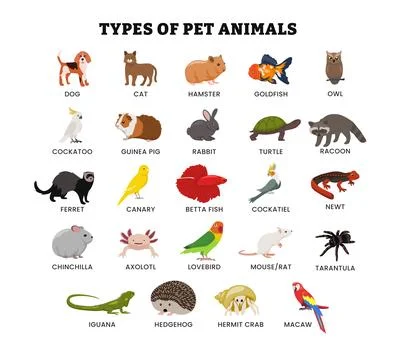 Set of different types of domestic pet animal collection for education post.. Illustrazione stock