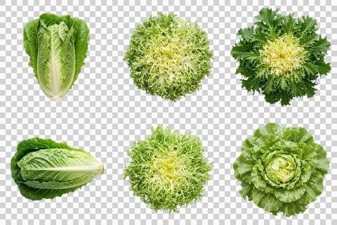 Set different types fresh green lettuce leaves isolated transparent backgro.. Fotos Stock