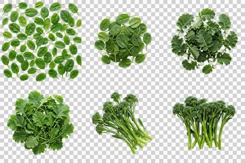 Set different types fresh green leafy vegetables isolated transparent backg.. Stock-Fotos