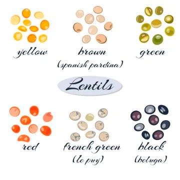 Set of different types of lentils.Macro. Yellow, brown, green, red, french green Stock Illustration