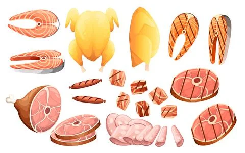 Set of different types of meat chicken pig beef and fish vector illustration on Stock Illustration