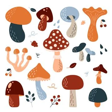 Set of different types of mushrooms イラスト素材
