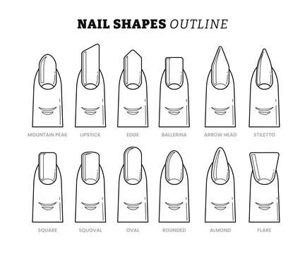 Set of different types of nail shapes outline collection with line art styl.. 스톡 일러스트