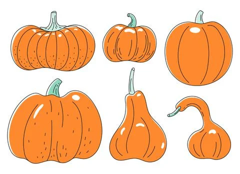Set of different types of pumpkins for halloween Illustrazione stock