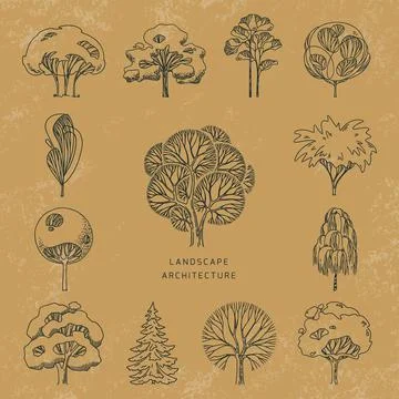 A set of different types of trees front view in the old style, drawn in a linear Stock Illustration
