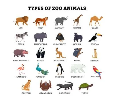 Set of different types of zoo animal collection for education poster, vecto.. Stockillustratie