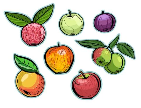 A set of different varieties of apples with and without leaves. Illustration Stock Illustration