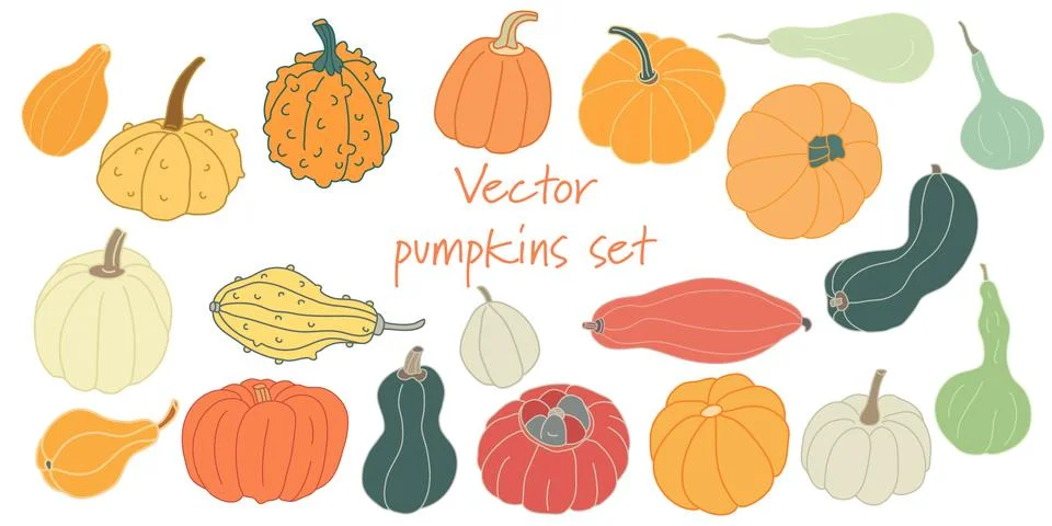 Set with different varieties of pumpkins and squashes isolated on white. Hand Stock Illustration
