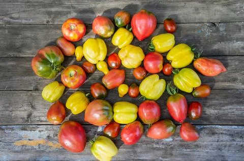 A set of different varieties of tomatoes arranged on a wooden table. Foto stock