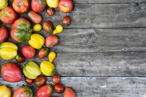A set of different varieties of tomatoes arranged on a wooden table Stock Photos