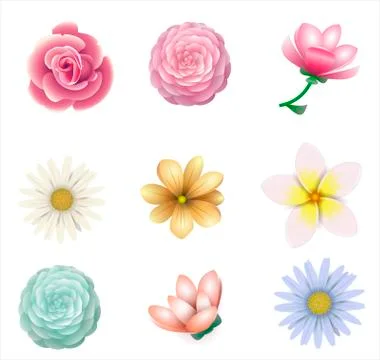 Set of different vector flowers Stock Illustration