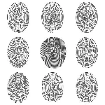 Set of different vector outline fingerprint identity person touch ID. Stock Illustration