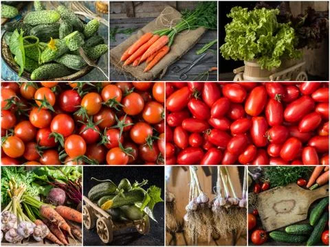 Set of different vegetables. Collection vegetables background Stock Photos