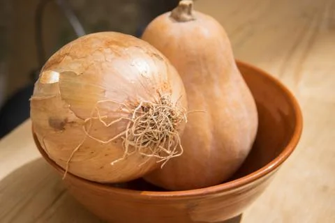 Set of different vegetables. Stock Photos