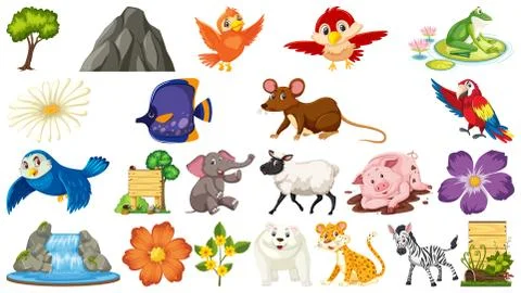 Set of different wild animals Stock Illustration