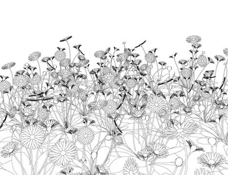 Set of differents flower linen on white background. Grass with herbs and wild Stock Illustration
