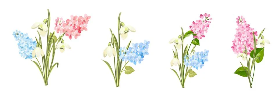 Set of differents lilac on white background. Stock Illustration