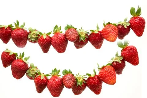 Set of differnet red ripe strawberries hanging on isolated on white backgroun Stock Photos