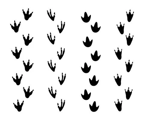 Set of Dinosaur footprint vector icon Stock Illustration