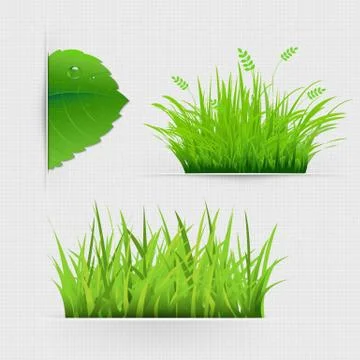 Set of dividers with grass Stock Illustration