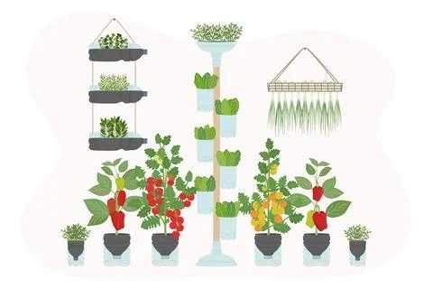 Set of DIY plastic bottle planters with vegetables and greens at home. Vert.. Stock Illustration