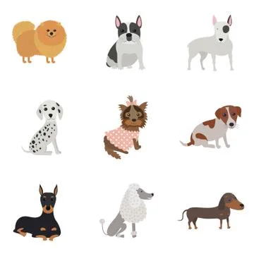 Set of dogs of different breeds Stock Illustration