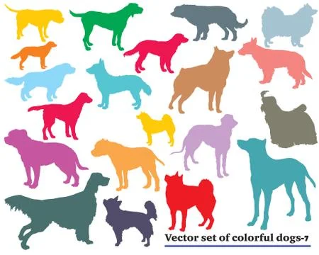 Set of dogs  Stock Illustration