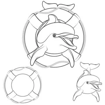Set of dolphin logo design element. Isolated vector objects on a white. Stock Illustration