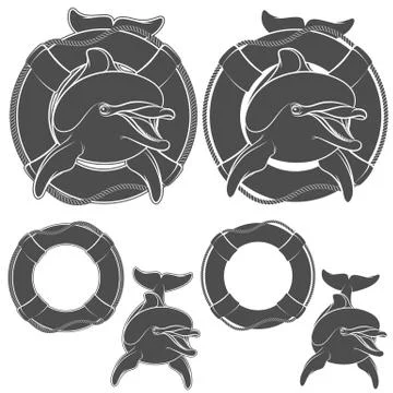Set of dolphin logo design element. Stock Illustration