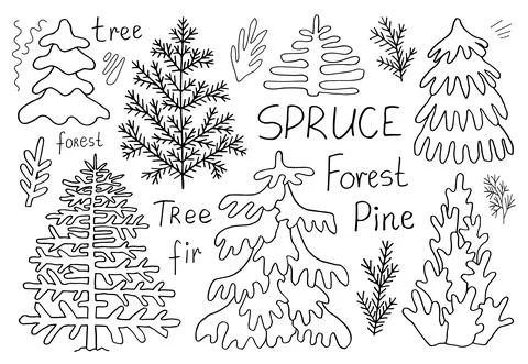 Set of doodle coniferous trees line art. Forest spruce and pine. Hand drawn v Stock Illustration