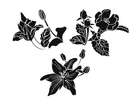 Set of doodle floral elements Stock Illustration